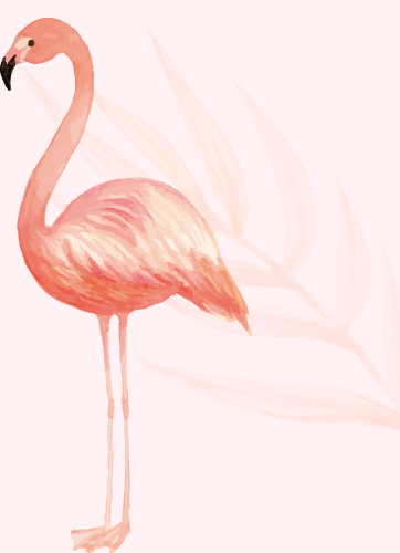 flamingo
